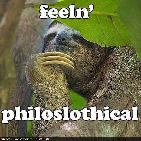 Sloth Avatar